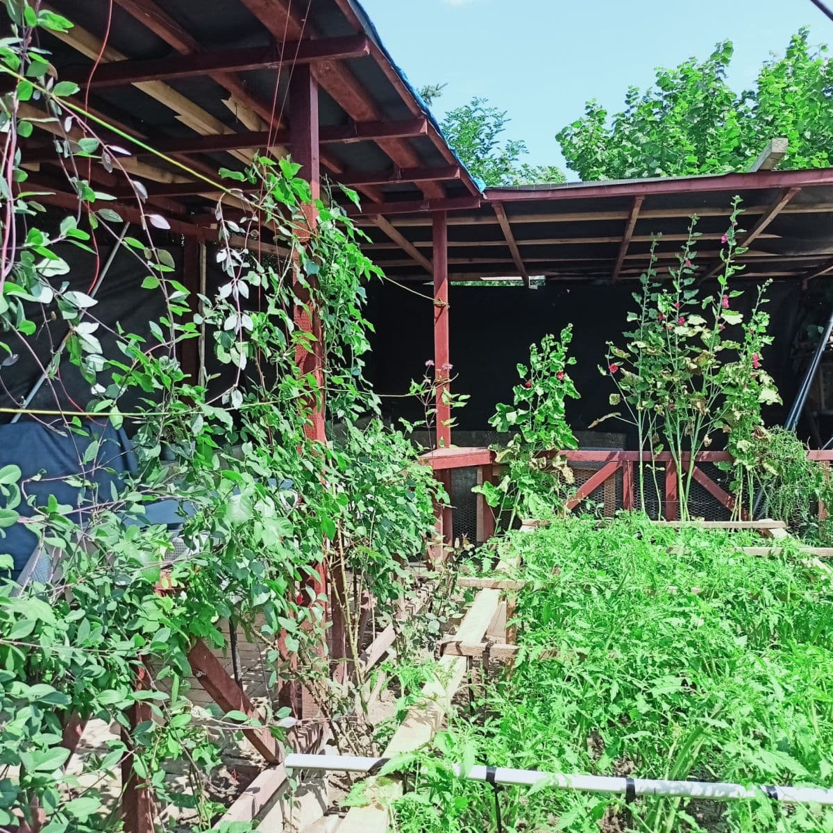 recreational property for sale, 800 m², Velemín, Ústecký Region recreational property for sale, 800 m², Velemín, Ústecký Region