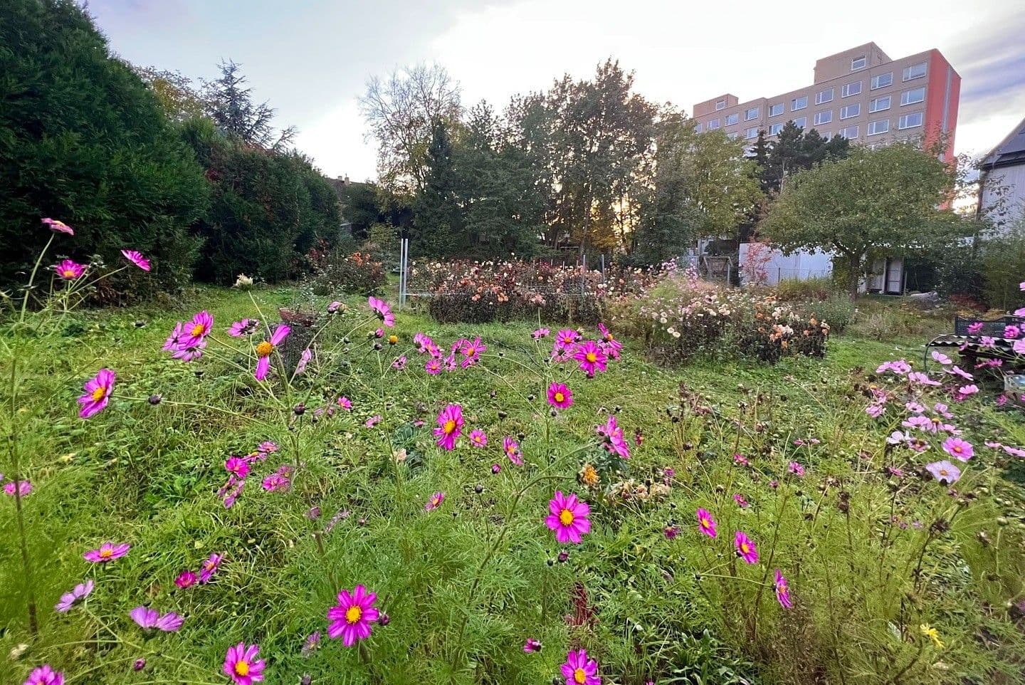 plot to rent, 800 m², Prague, Prague plot to rent, 800 m², Prague, Prague