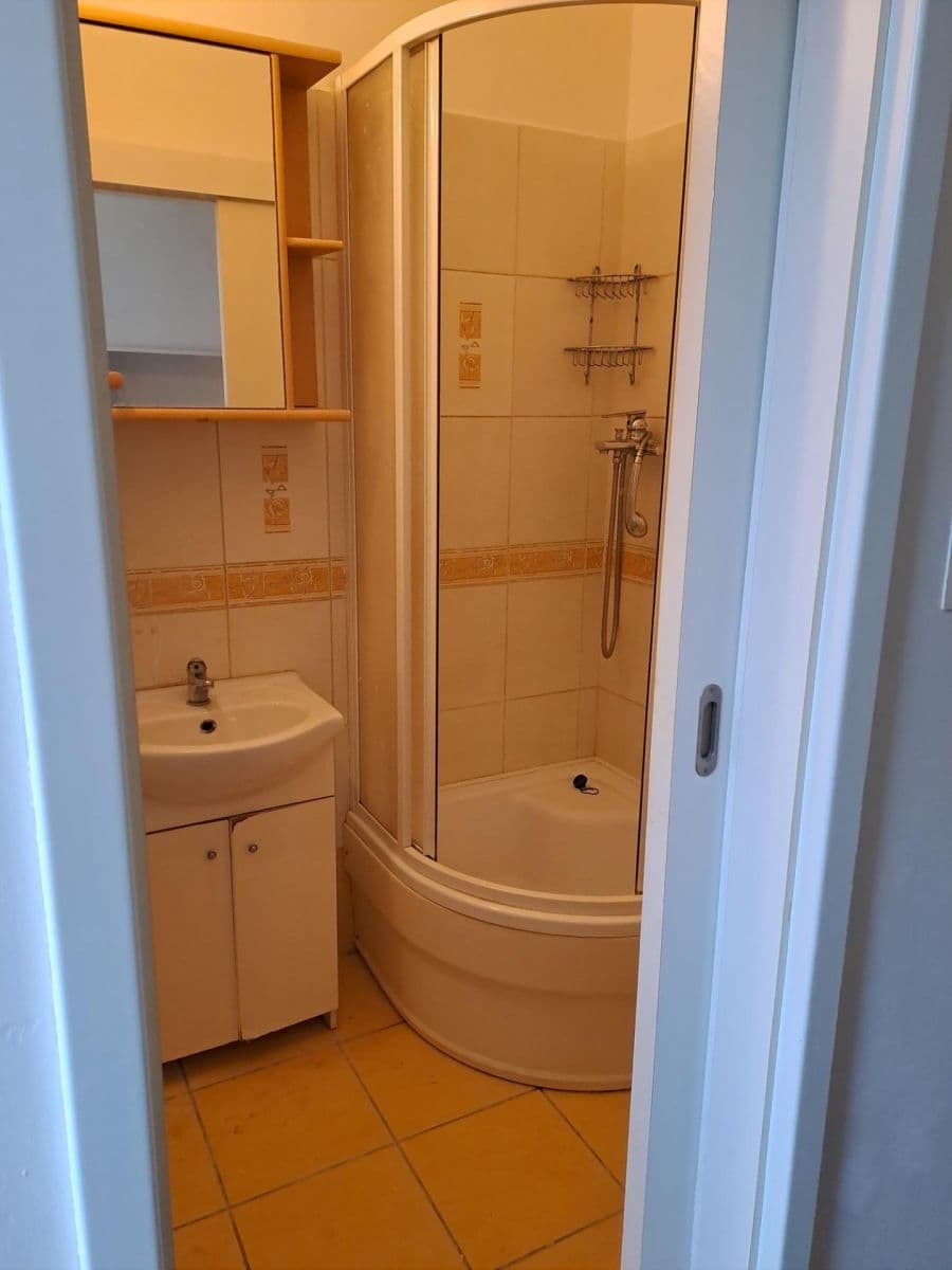 1 bedroom with open-plan kitchen flat to rent, 40 m², Letohradská, Prague, Prague 1 bedroom with open-plan kitchen flat to rent, 40 m², Letohradská, Prague, Prague