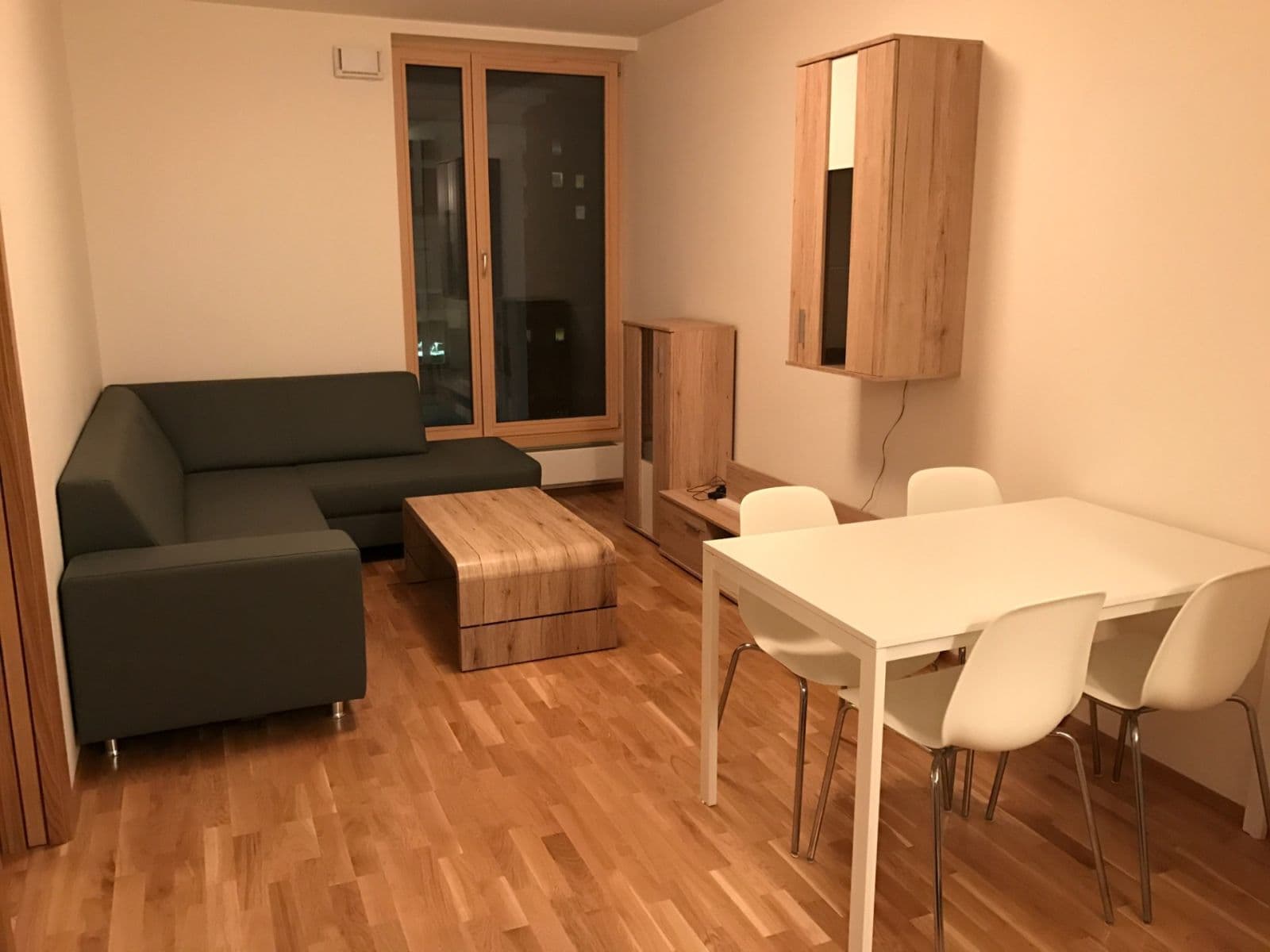 1 bedroom with open-plan kitchen flat to rent, 45 m², Hartigova, Prague, Prague 1 bedroom with open-plan kitchen flat to rent, 45 m², Hartigova, Prague, Prague