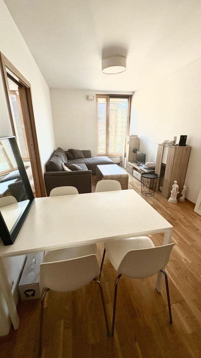 1 bedroom with open-plan kitchen flat to rent, 45 m², Hartigova, Prague, Prague 1 bedroom with open-plan kitchen flat to rent, 45 m², Hartigova, Prague, Prague