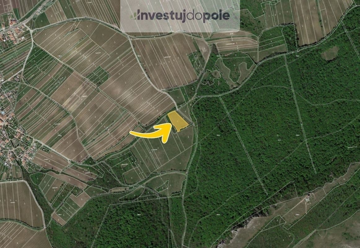 plot for sale, 5,123 m², Horní Věstonice, Jihomoravský Region plot for sale, 5,123 m², Horní Věstonice, Jihomoravský Region