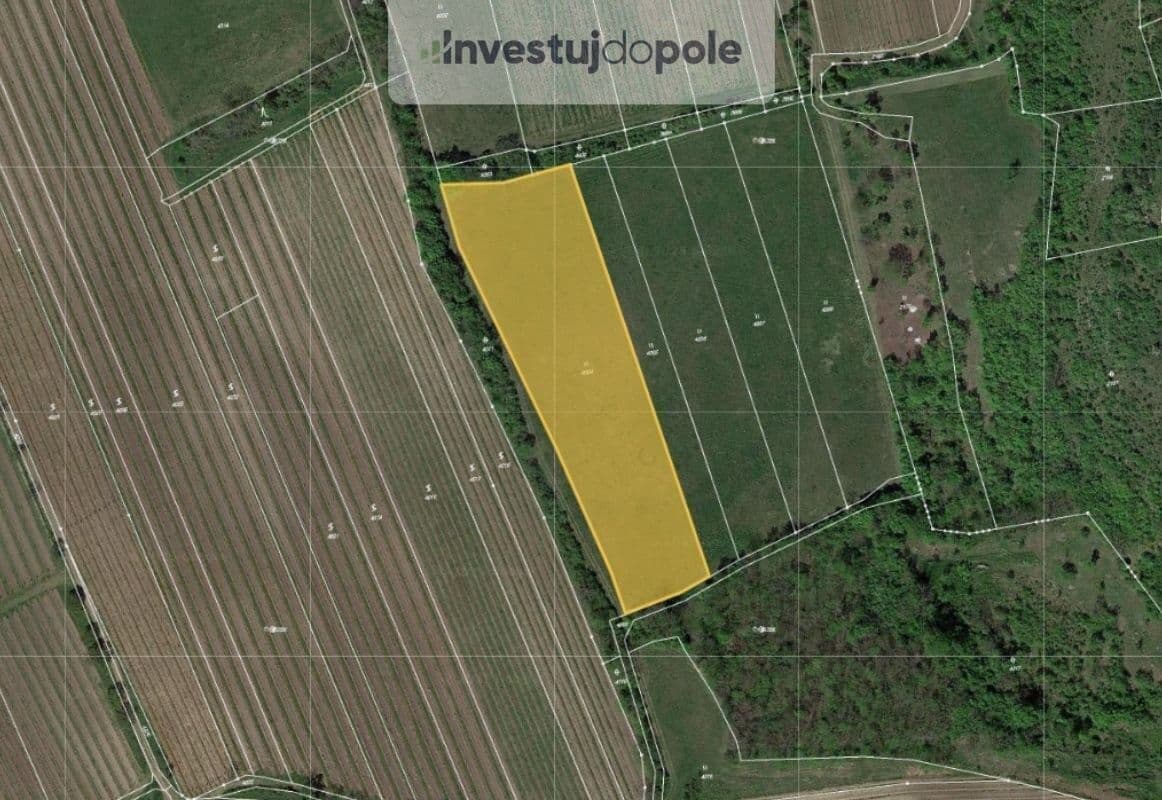 plot for sale, 8,391 m², Horní Věstonice, Jihomoravský Region plot for sale, 8,391 m², Horní Věstonice, Jihomoravský Region