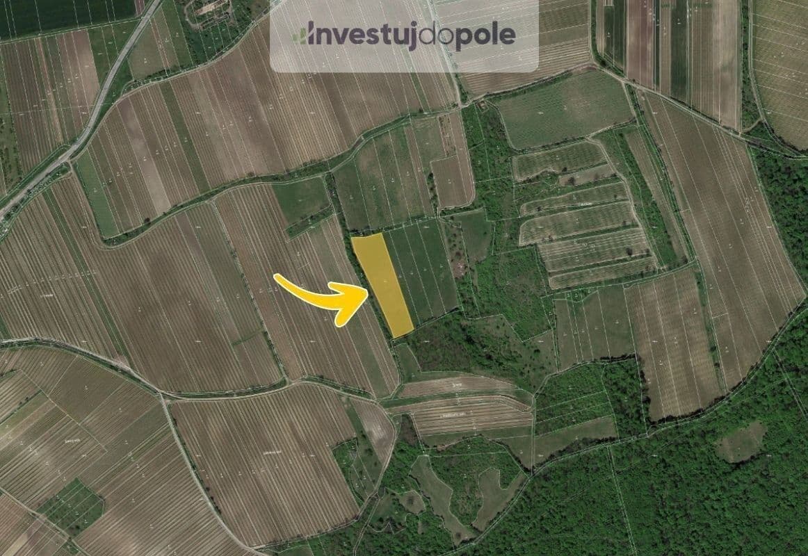 plot for sale, 8,391 m², Horní Věstonice, Jihomoravský Region plot for sale, 8,391 m², Horní Věstonice, Jihomoravský Region