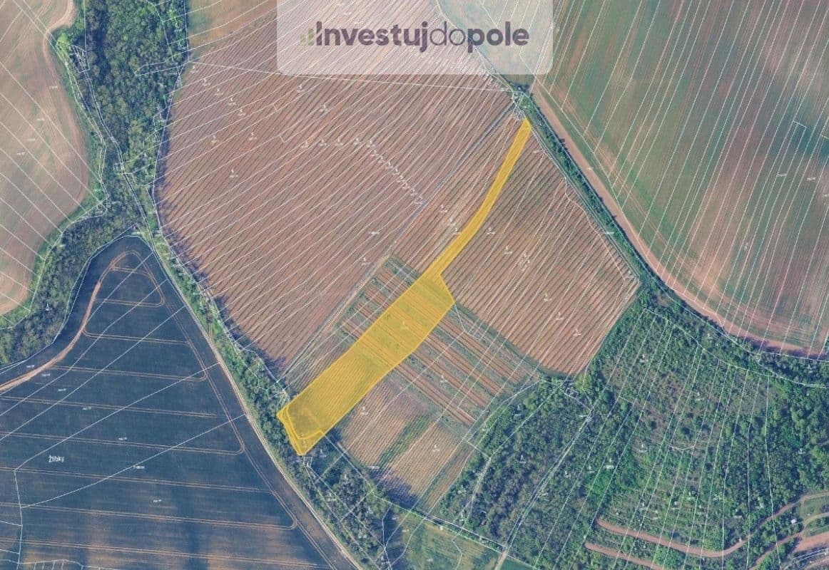 plot for sale, 8,175 m², Mělčany, Jihomoravský Region plot for sale, 8,175 m², Mělčany, Jihomoravský Region