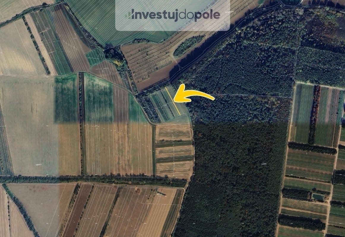 plot for sale, 571 m², Moravský Písek, Jihomoravský Region plot for sale, 571 m², Moravský Písek, Jihomoravský Region