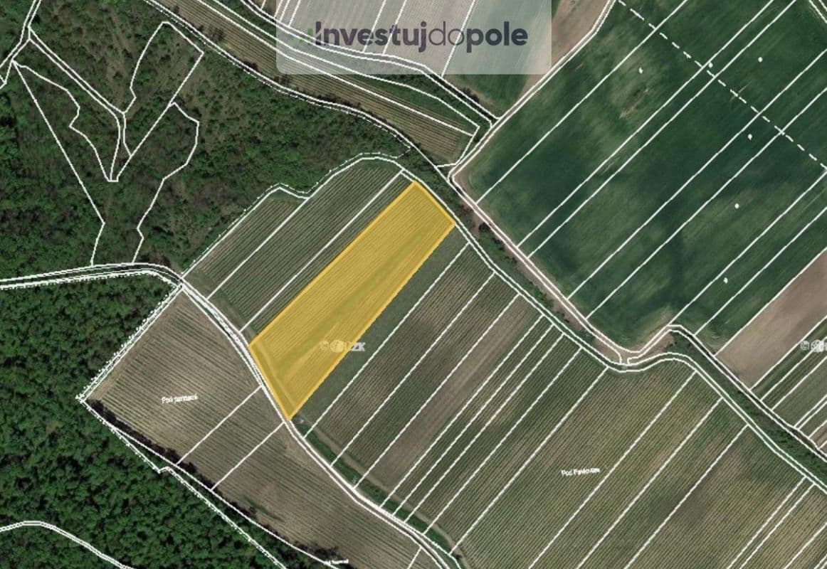 plot for sale, 1,767 m², Dolní Věstonice, Jihomoravský Region plot for sale, 1,767 m², Dolní Věstonice, Jihomoravský Region