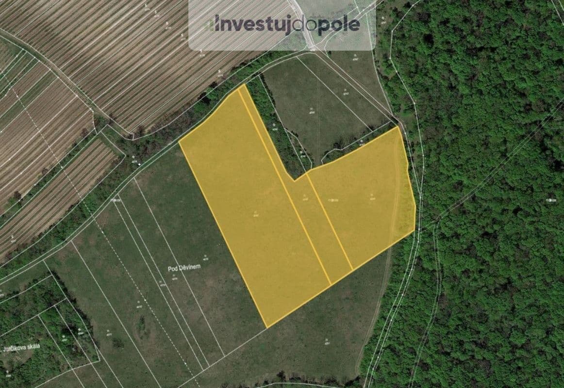 plot for sale, 24,706 m², Horní Věstonice, Jihomoravský Region plot for sale, 24,706 m², Horní Věstonice, Jihomoravský Region