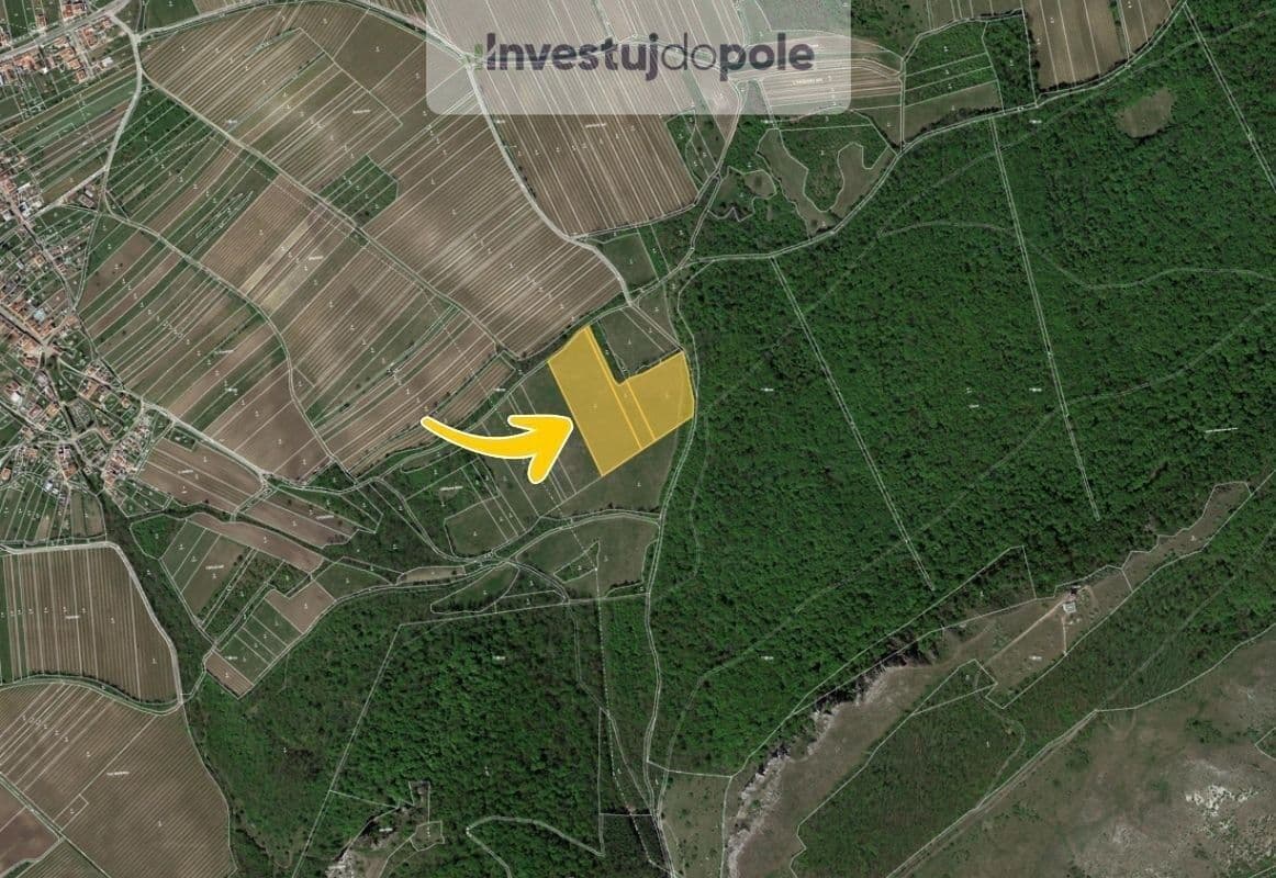 plot for sale, 24,706 m², Horní Věstonice, Jihomoravský Region plot for sale, 24,706 m², Horní Věstonice, Jihomoravský Region