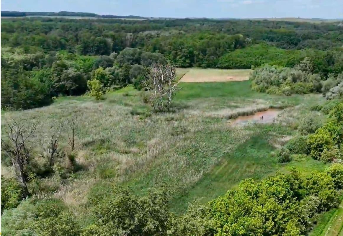 plot for sale, 21,655 m², Hovorany, Jihomoravský Region plot for sale, 21,655 m², Hovorany, Jihomoravský Region