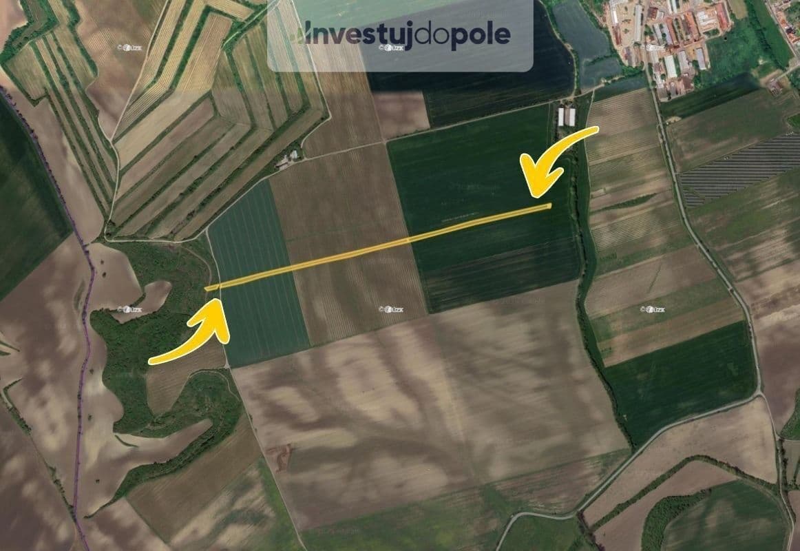 plot for sale, 11,743 m², Čejkovice, Jihomoravský Region plot for sale, 11,743 m², Čejkovice, Jihomoravský Region