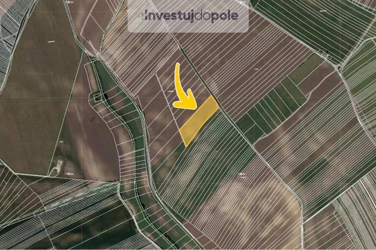 plot for sale, 11,711 m², Nový Poddvorov, Jihomoravský Region plot for sale, 11,711 m², Nový Poddvorov, Jihomoravský Region
