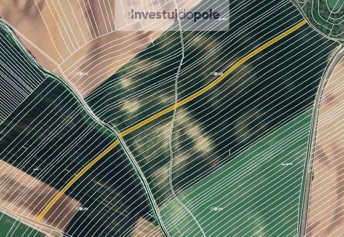 plot for sale, 8,100 m², Čejkovice, Jihomoravský Region plot for sale, 8,100 m², Čejkovice, Jihomoravský Region