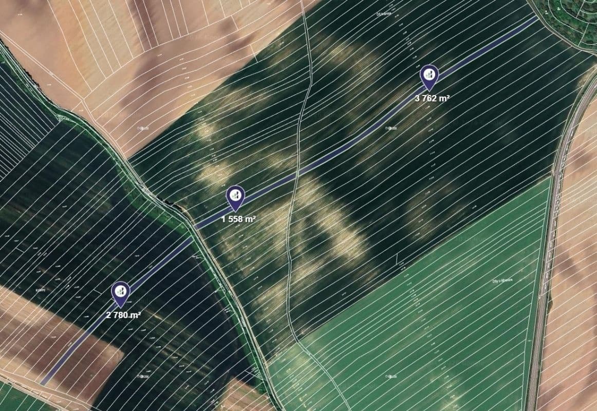 plot for sale, 8,100 m², Čejkovice, Jihomoravský Region plot for sale, 8,100 m², Čejkovice, Jihomoravský Region