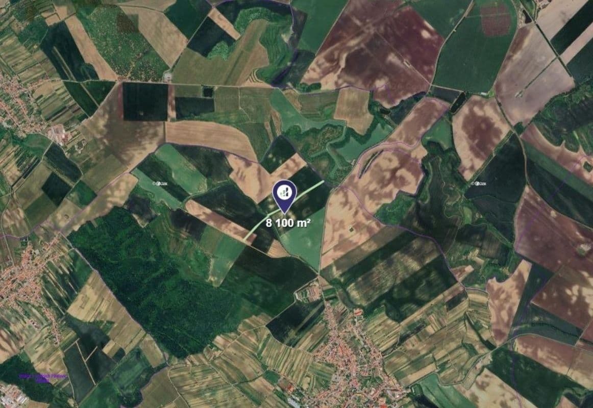 plot for sale, 8,100 m², Čejkovice, Jihomoravský Region plot for sale, 8,100 m², Čejkovice, Jihomoravský Region