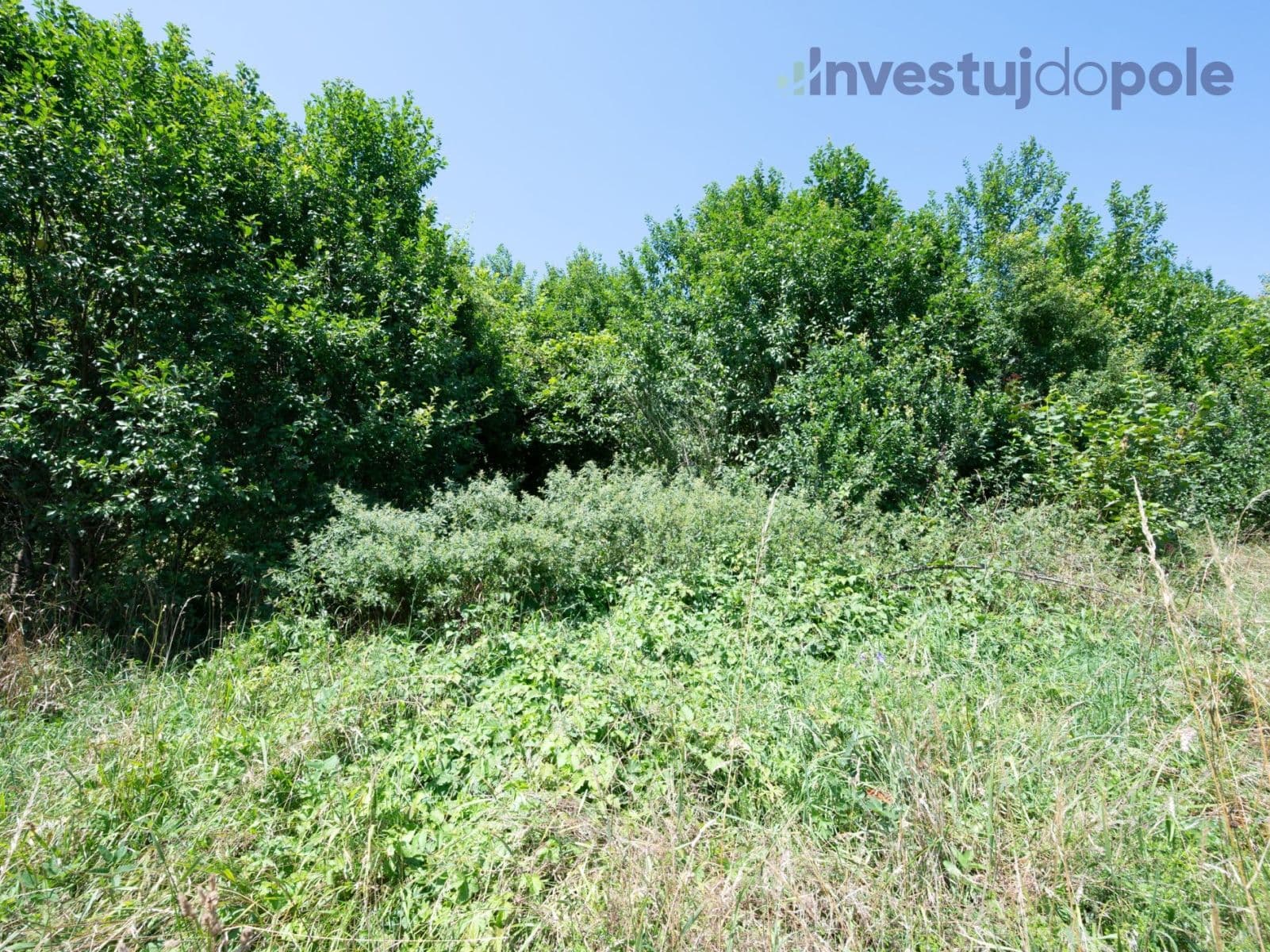 plot for sale, 2,240 m², Hrubá Skála, Liberecký Region plot for sale, 2,240 m², Hrubá Skála, Liberecký Region