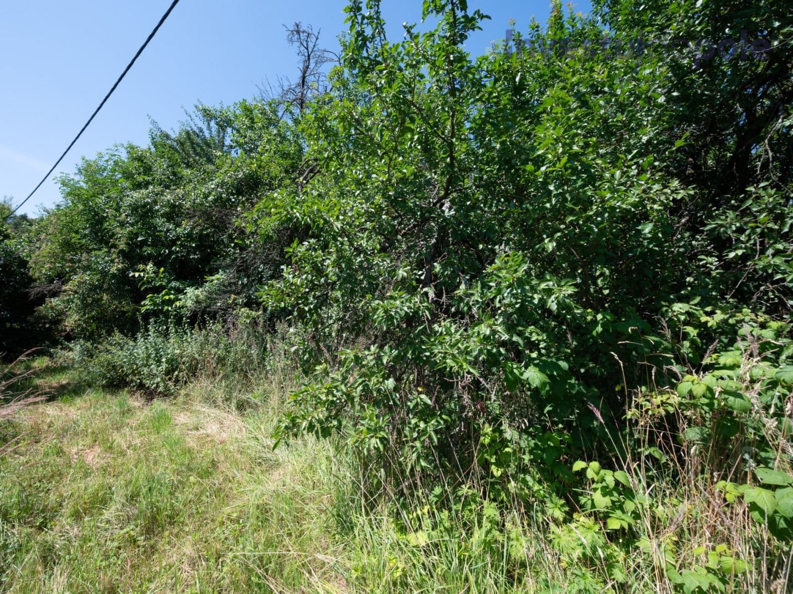 plot for sale, 2,240 m², Hrubá Skála, Liberecký Region plot for sale, 2,240 m², Hrubá Skála, Liberecký Region