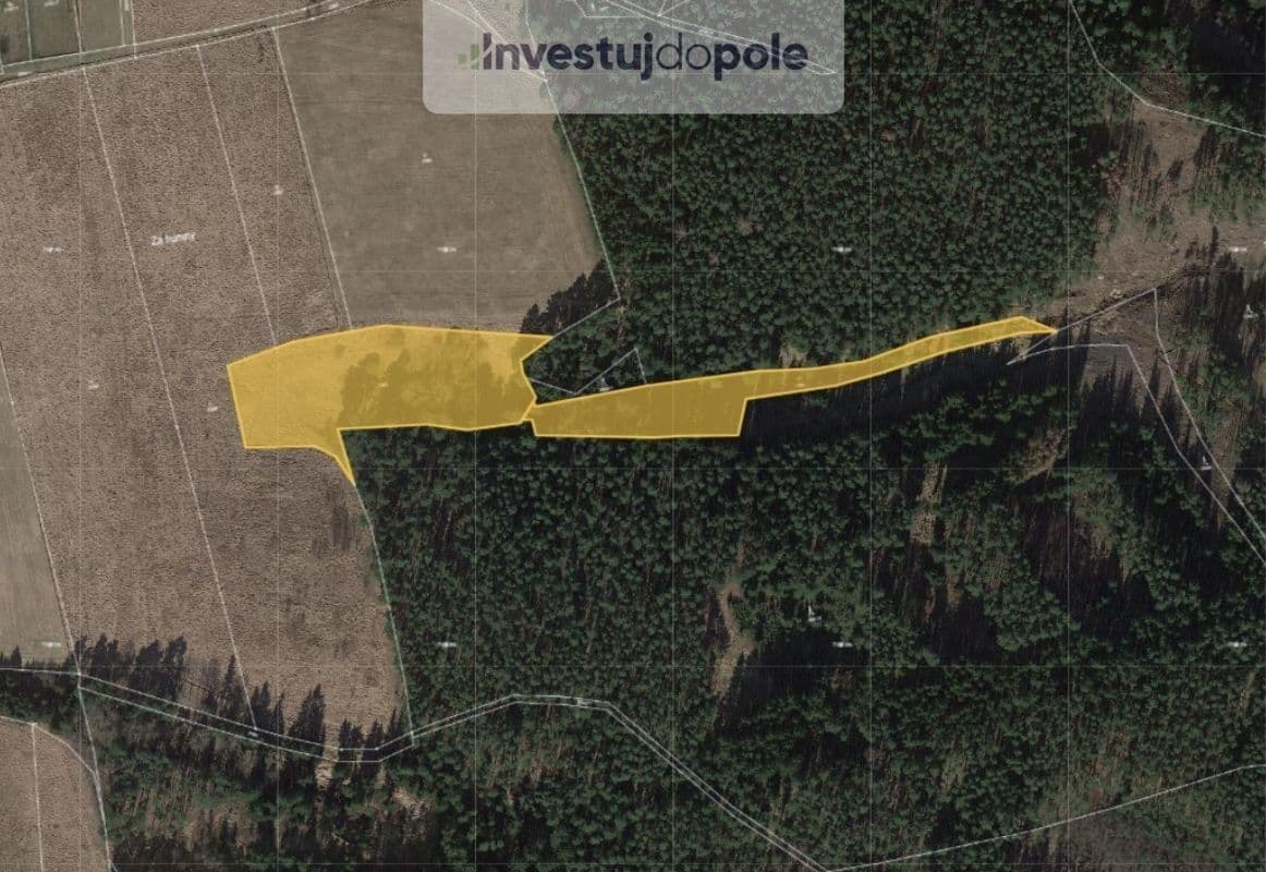 plot for sale, 17,895 m², Planá, Plzeňský Region plot for sale, 17,895 m², Planá, Plzeňský Region