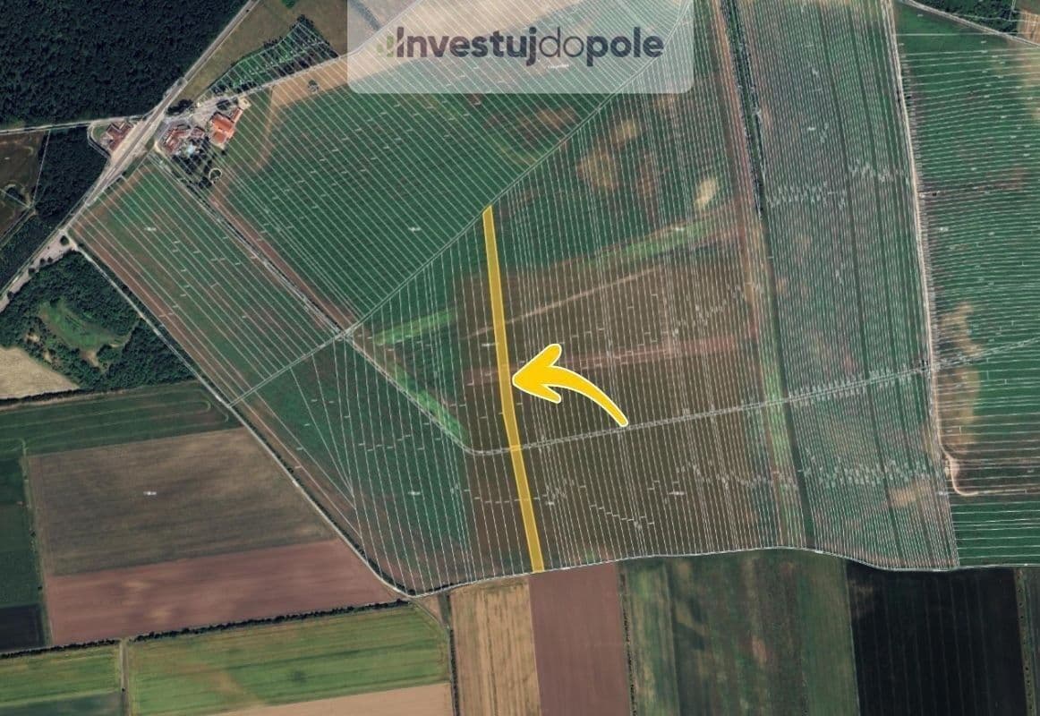 plot for sale, 8,042 m², Břeclav, Jihomoravský Region plot for sale, 8,042 m², Břeclav, Jihomoravský Region