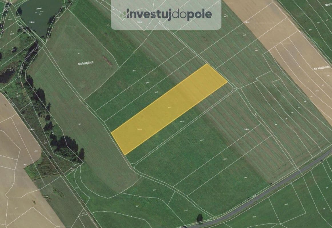 plot for sale, 11,102 m², Běhařov, Plzeňský Region plot for sale, 11,102 m², Běhařov, Plzeňský Region