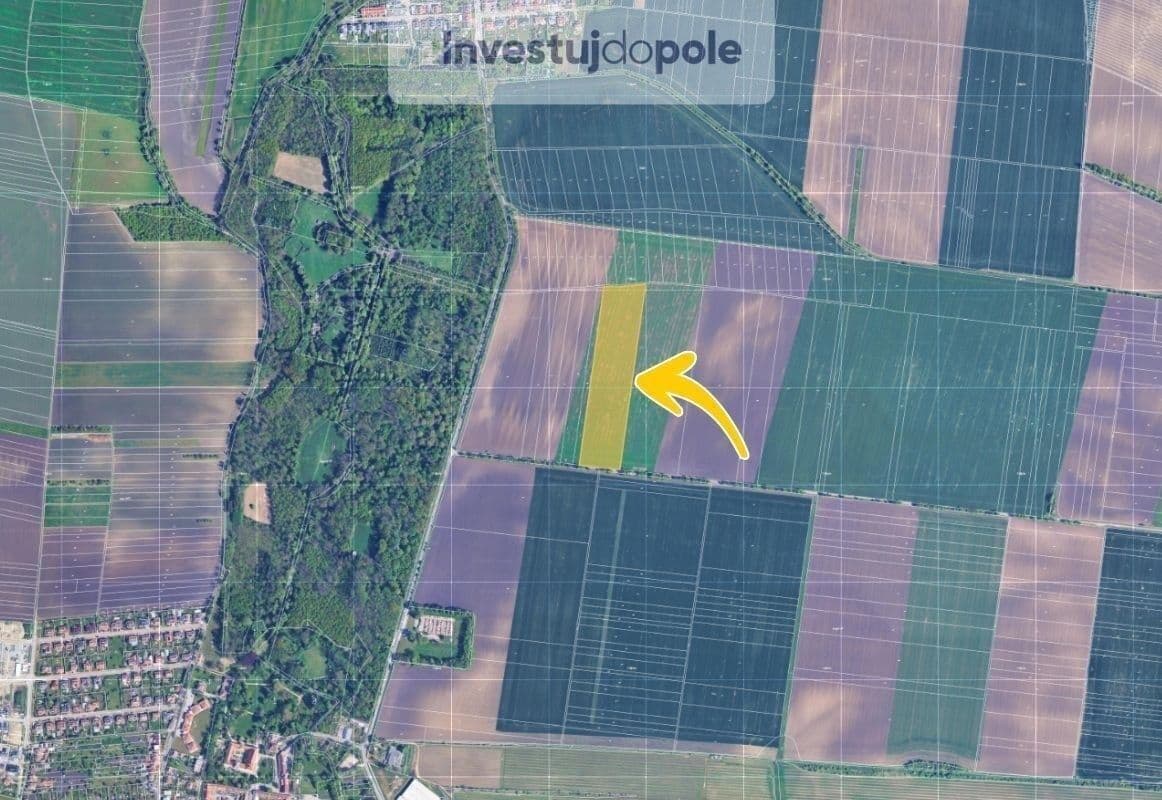 plot for sale, 31,775 m², Sokolnice, Jihomoravský Region plot for sale, 31,775 m², Sokolnice, Jihomoravský Region