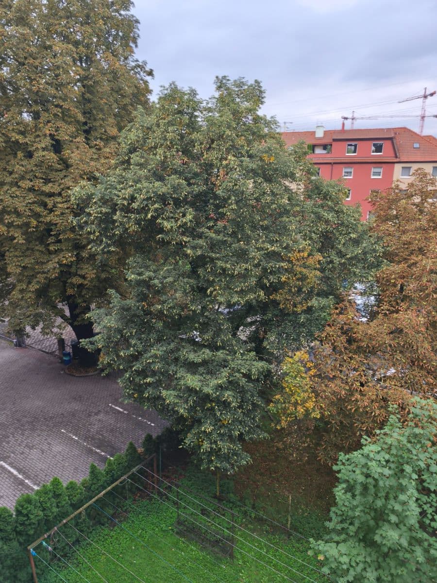 Small studio flat to rent, 27 m², Kbelská, Prague, Prague Small studio flat to rent, 27 m², Kbelská, Prague, Prague