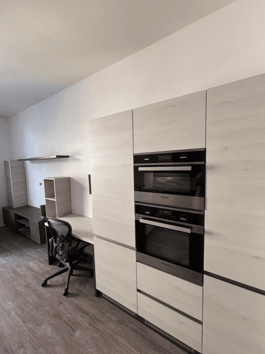 1 bedroom with open-plan kitchen flat to rent, 55 m², Březinova, Prague, Prague 1 bedroom with open-plan kitchen flat to rent, 55 m², Březinova, Prague, Prague