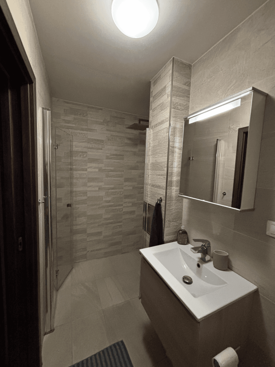 1 bedroom with open-plan kitchen flat to rent, 55 m², Březinova, Prague, Prague 1 bedroom with open-plan kitchen flat to rent, 55 m², Březinova, Prague, Prague