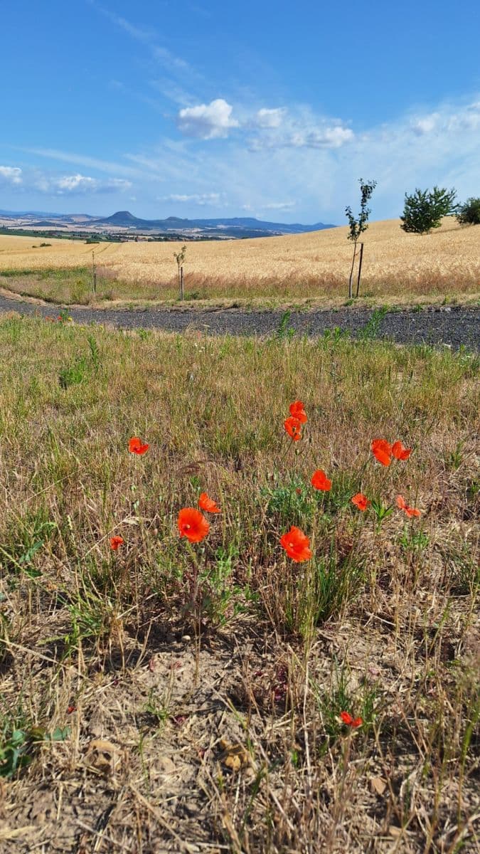 plot for sale, 950 m², Líšťany, Ústecký Region plot for sale, 950 m², Líšťany, Ústecký Region