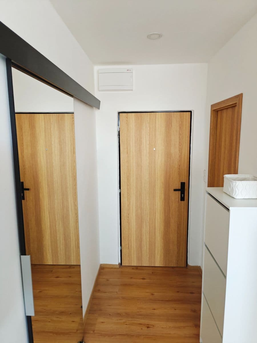1 bedroom with open-plan kitchen flat to rent, 40 m², Herčíkova, Brno, Jihomoravský Region 1 bedroom with open-plan kitchen flat to rent, 40 m², Herčíkova, Brno, Jihomoravský Region