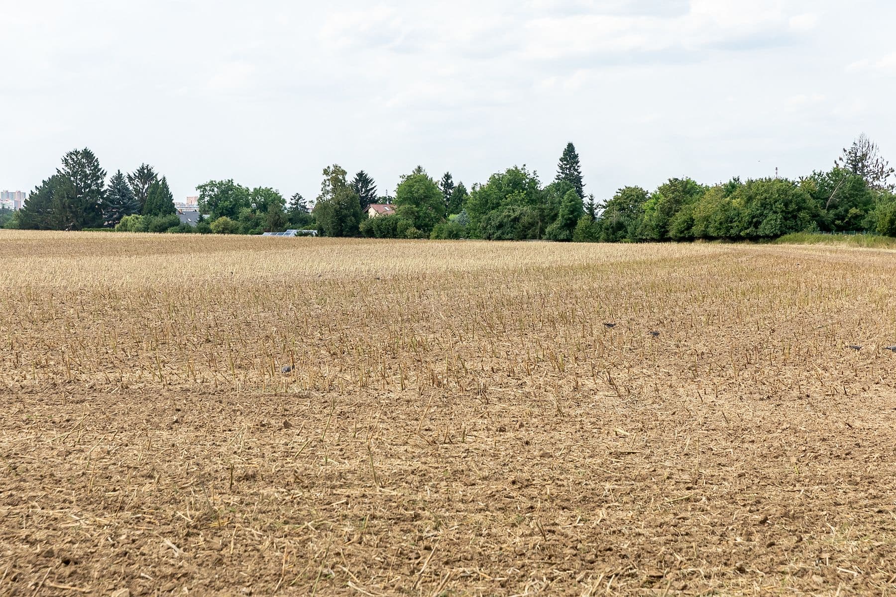 plot for sale, 8,465 m², Prague, Prague plot for sale, 8,465 m², Prague, Prague