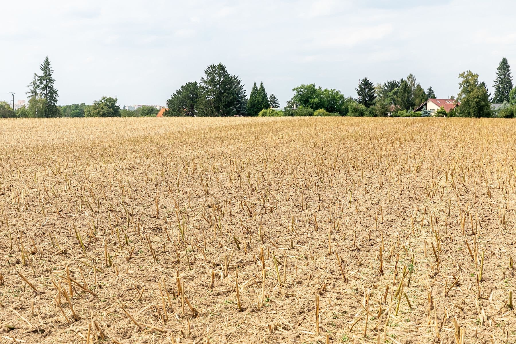 plot for sale, 8,465 m², Prague, Prague plot for sale, 8,465 m², Prague, Prague