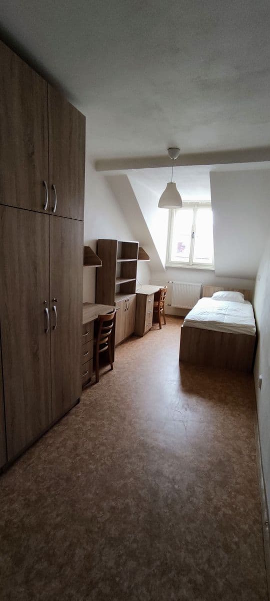 flat to rent, 300 m², Lublaňská, Prague, Prague flat to rent, 300 m², Lublaňská, Prague, Prague