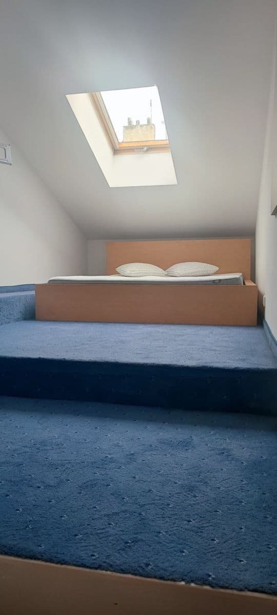 2 bedroom with open-plan kitchen flat to rent, 60 m², Rumunská, Prague, Prague 2 bedroom with open-plan kitchen flat to rent, 60 m², Rumunská, Prague, Prague