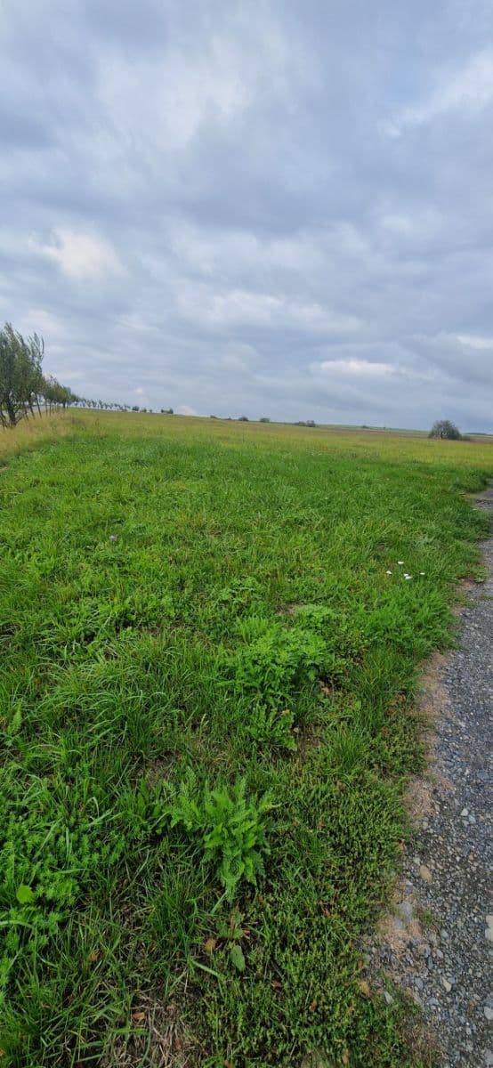 plot for sale, 4,626 m², Větřkovice, Moravskoslezský Region plot for sale, 4,626 m², Větřkovice, Moravskoslezský Region