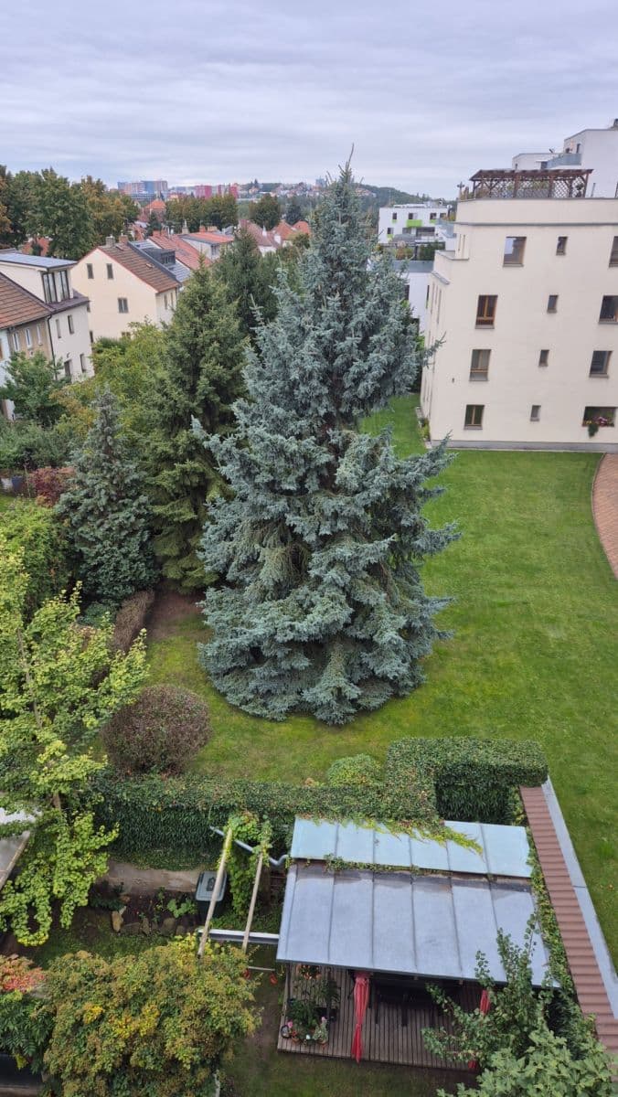 1 bedroom with open-plan kitchen flat to rent, 61 m², U Hráze, Prague, Prague 1 bedroom with open-plan kitchen flat to rent, 61 m², U Hráze, Prague, Prague