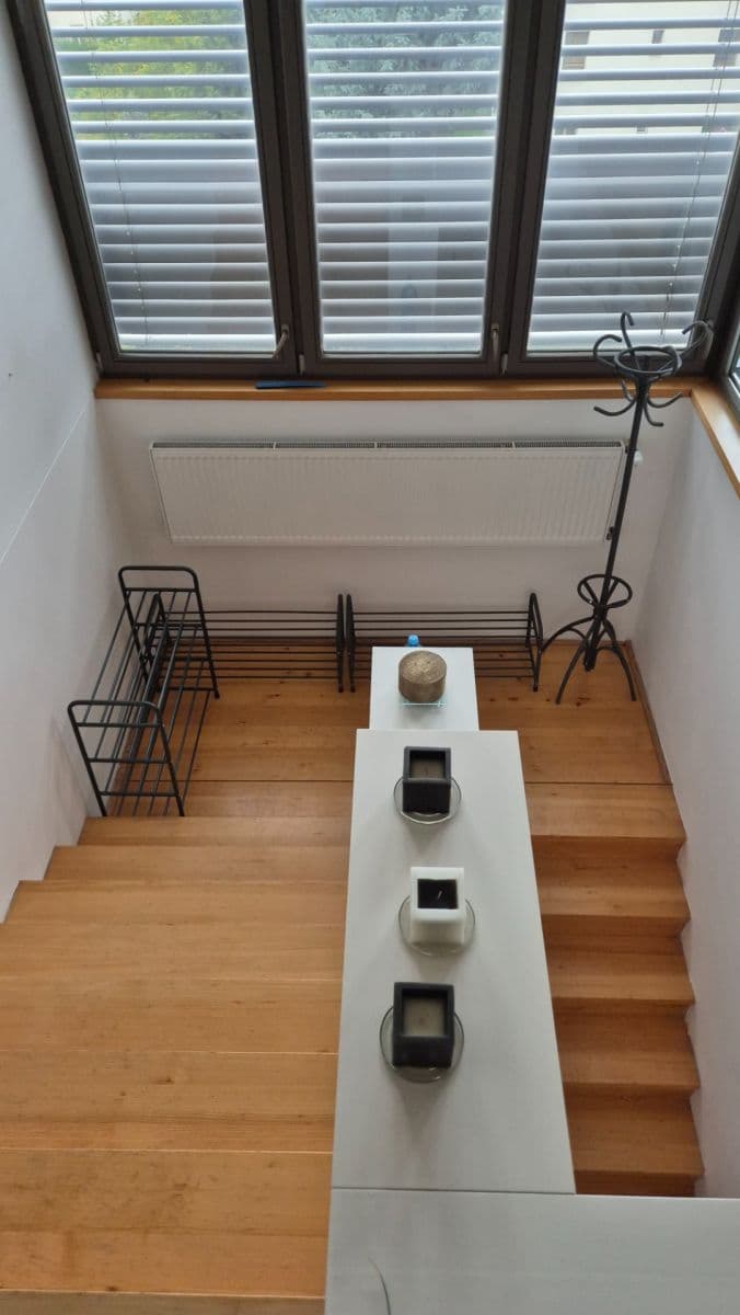 1 bedroom with open-plan kitchen flat to rent, 61 m², U Hráze, Prague, Prague 1 bedroom with open-plan kitchen flat to rent, 61 m², U Hráze, Prague, Prague