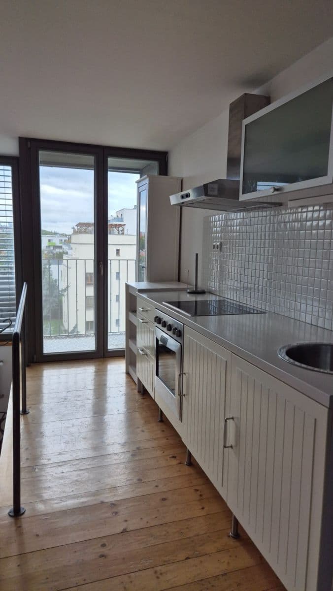 1 bedroom with open-plan kitchen flat to rent, 61 m², U Hráze, Prague, Prague 1 bedroom with open-plan kitchen flat to rent, 61 m², U Hráze, Prague, Prague