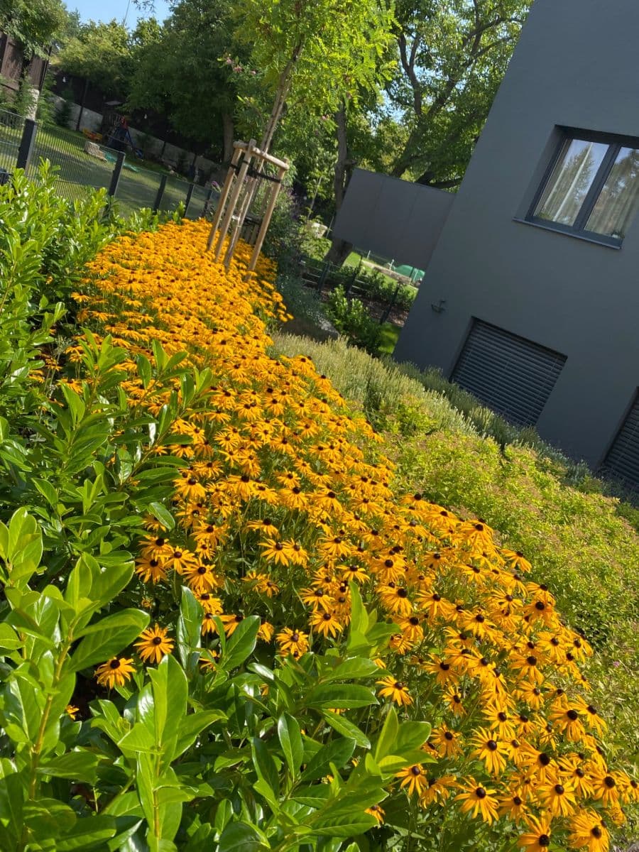 2 bedroom with open-plan kitchen flat for sale, 84 m², Butovická, Prague, Prague 2 bedroom with open-plan kitchen flat for sale, 84 m², Butovická, Prague, Prague