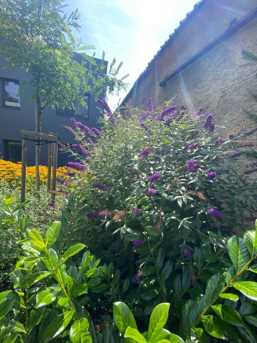 2 bedroom with open-plan kitchen flat for sale, 84 m², Butovická, Prague, Prague 2 bedroom with open-plan kitchen flat for sale, 84 m², Butovická, Prague, Prague