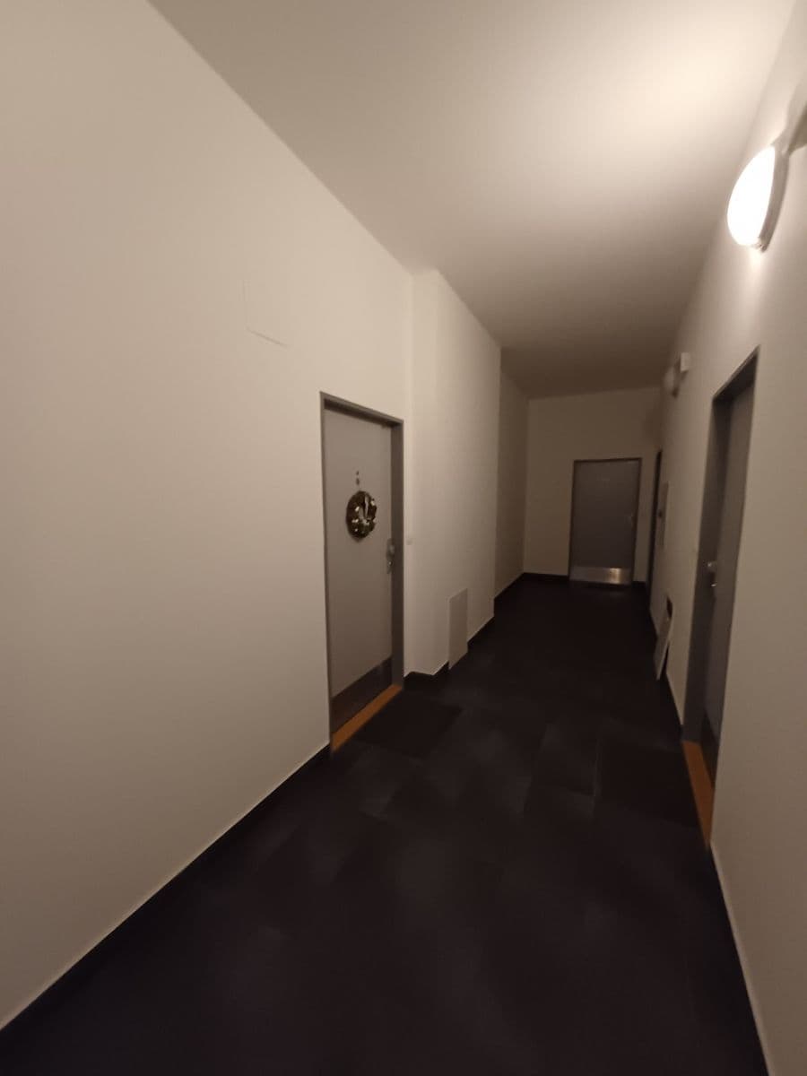 1 bedroom with open-plan kitchen flat for sale, 44 m², U Sladovny, Prague, Prague 1 bedroom with open-plan kitchen flat for sale, 44 m², U Sladovny, Prague, Prague