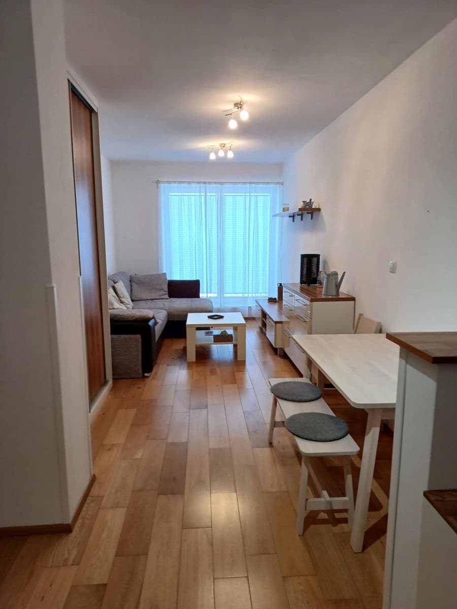 1 bedroom with open-plan kitchen flat for sale, 44 m², U Sladovny, Prague, Prague 1 bedroom with open-plan kitchen flat for sale, 44 m², U Sladovny, Prague, Prague