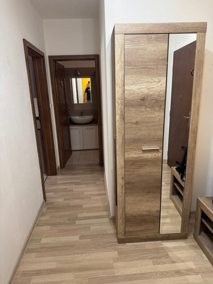 1 bedroom with open-plan kitchen flat to rent, 45 m², Okružní, Planá nad Lužnicí, Jihočeský Region 1 bedroom with open-plan kitchen flat to rent, 45 m², Okružní, Planá nad Lužnicí, Jihočeský Region