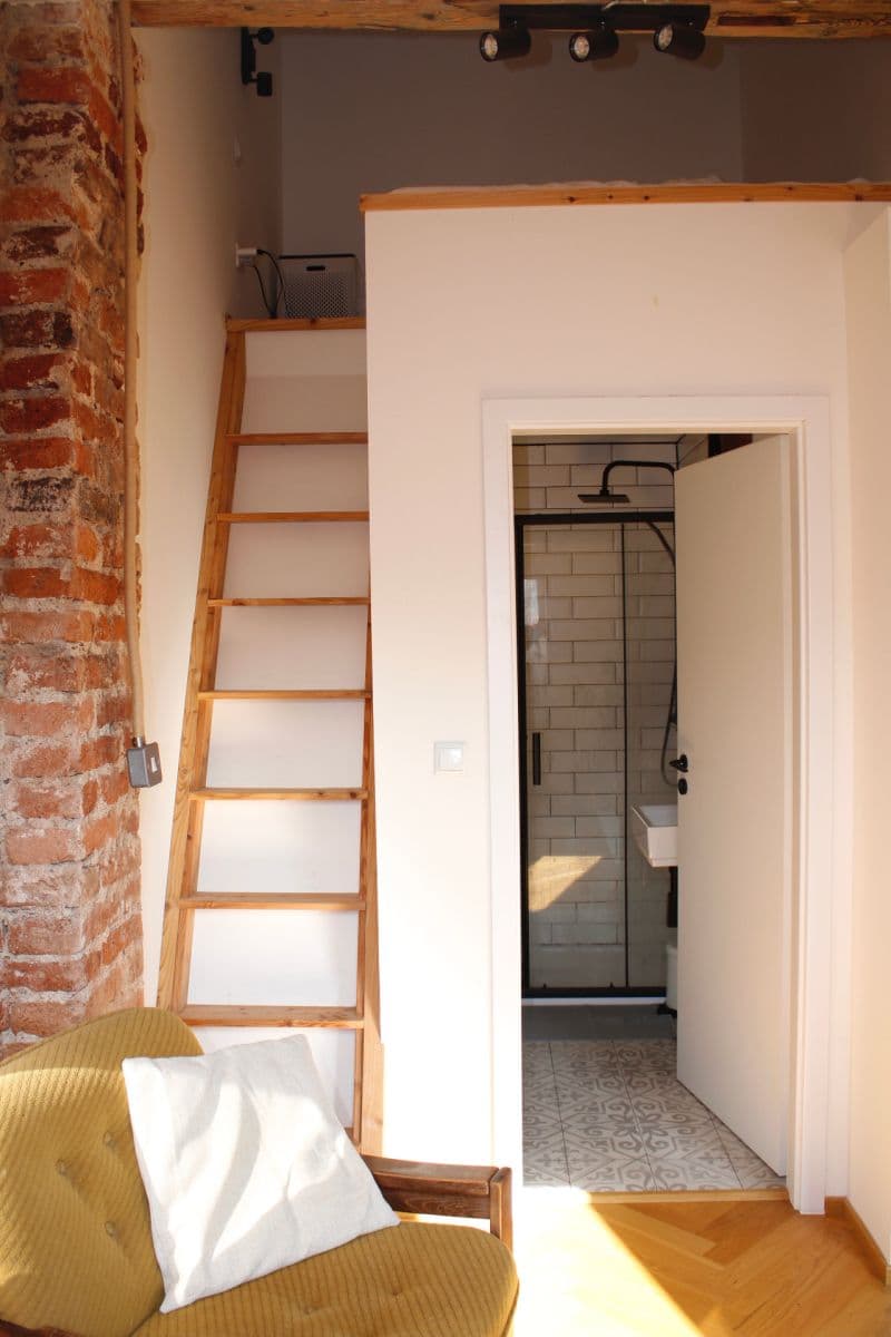 1 bedroom with open-plan kitchen flat for sale, 79 m², Wenzigova, Prague, Prague 1 bedroom with open-plan kitchen flat for sale, 79 m², Wenzigova, Prague, Prague