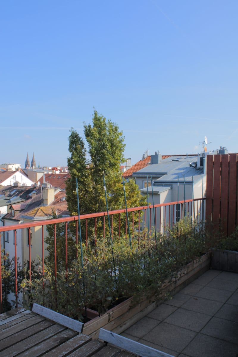 1 bedroom with open-plan kitchen flat for sale, 79 m², Wenzigova, Prague, Prague 1 bedroom with open-plan kitchen flat for sale, 79 m², Wenzigova, Prague, Prague