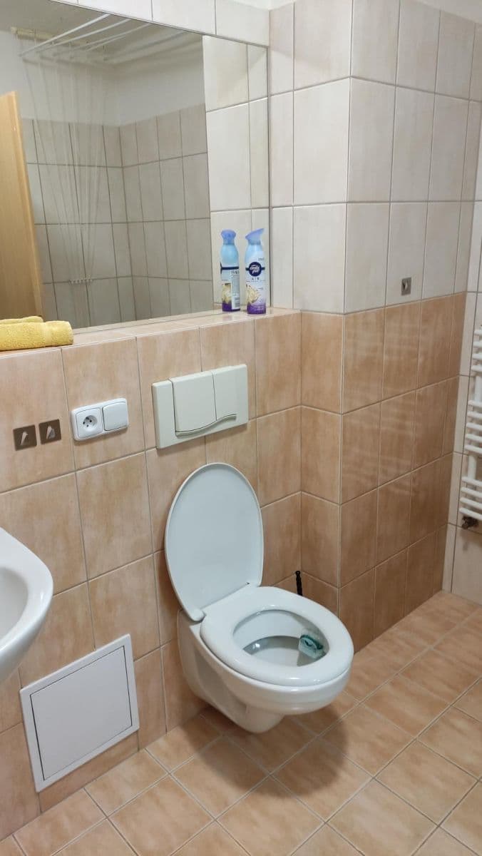 1 bedroom with open-plan kitchen flat for sale, 58 m², U Jana, Ostrava, Moravskoslezský Region 1 bedroom with open-plan kitchen flat for sale, 58 m², U Jana, Ostrava, Moravskoslezský Region