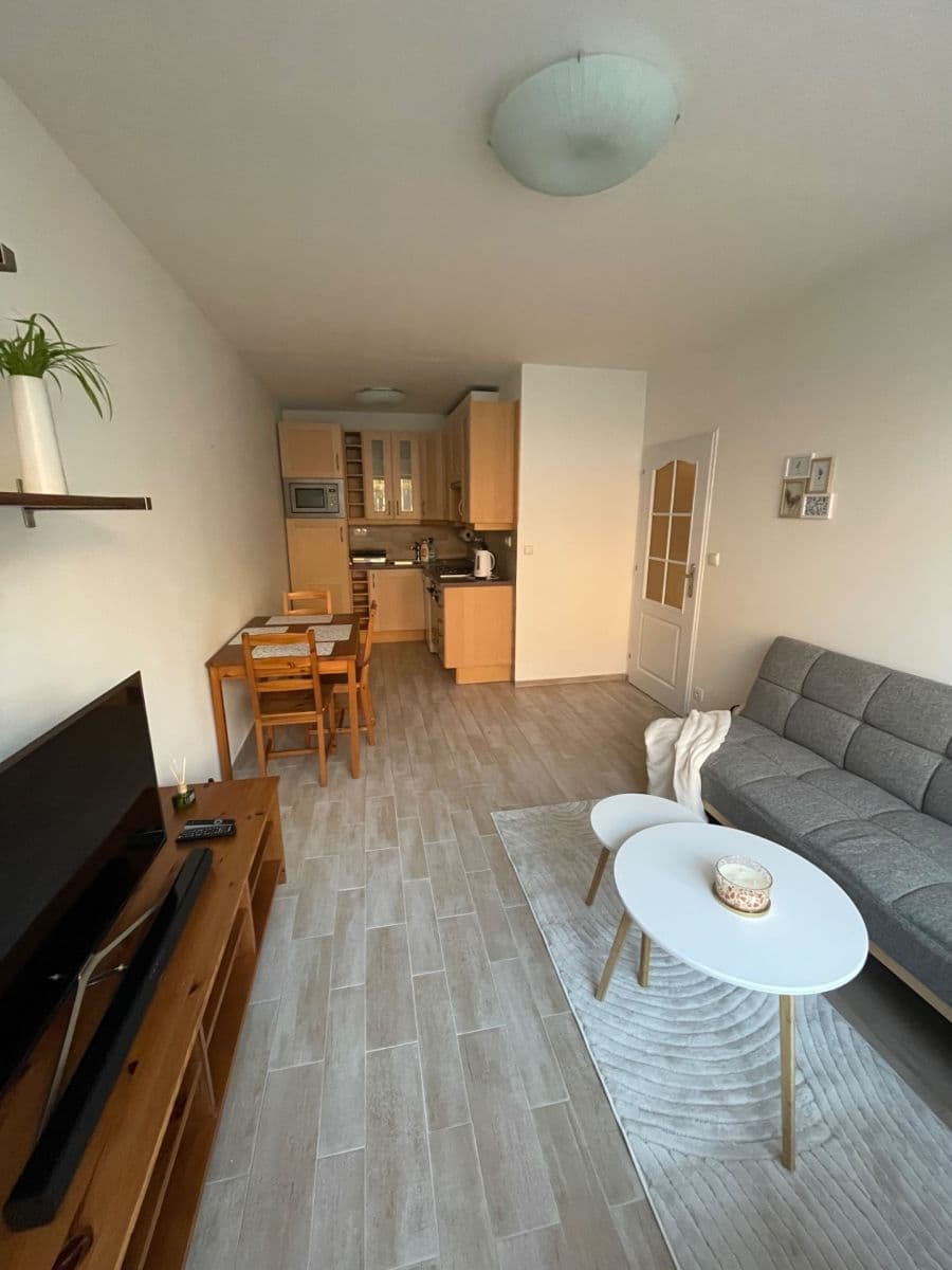 1 bedroom with open-plan kitchen flat to rent, 42 m², Pujmanové, Prague, Prague 1 bedroom with open-plan kitchen flat to rent, 42 m², Pujmanové, Prague, Prague