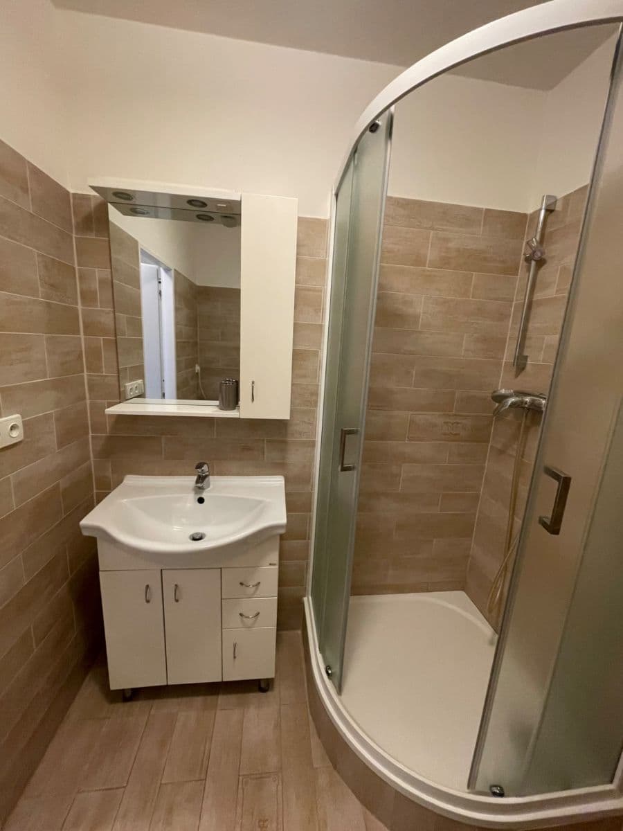 1 bedroom with open-plan kitchen flat to rent, 42 m², Pujmanové, Prague, Prague 1 bedroom with open-plan kitchen flat to rent, 42 m², Pujmanové, Prague, Prague