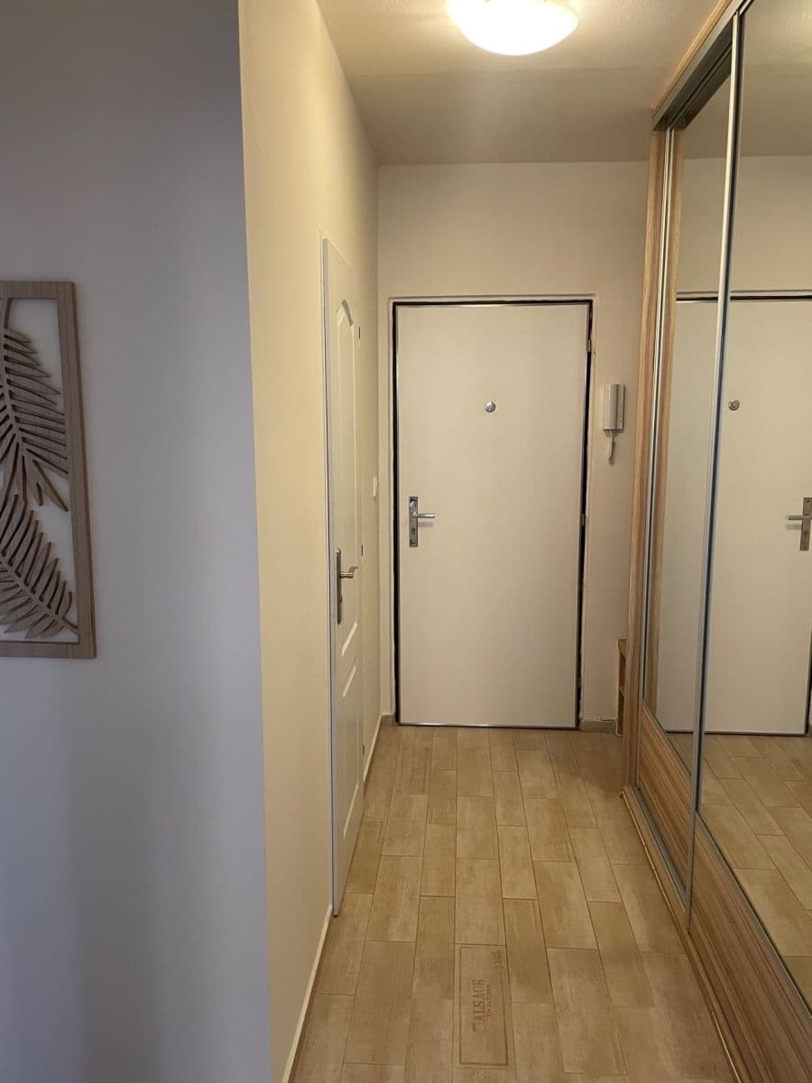 1 bedroom with open-plan kitchen flat to rent, 42 m², Pujmanové, Prague, Prague 1 bedroom with open-plan kitchen flat to rent, 42 m², Pujmanové, Prague, Prague