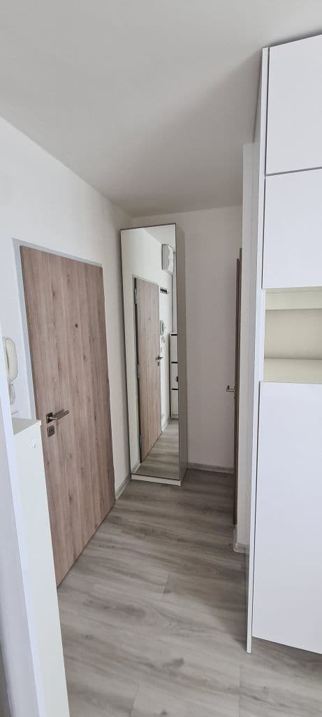 Studio flat to rent, 35 m², Bílinská, Prague, Prague Studio flat to rent, 35 m², Bílinská, Prague, Prague